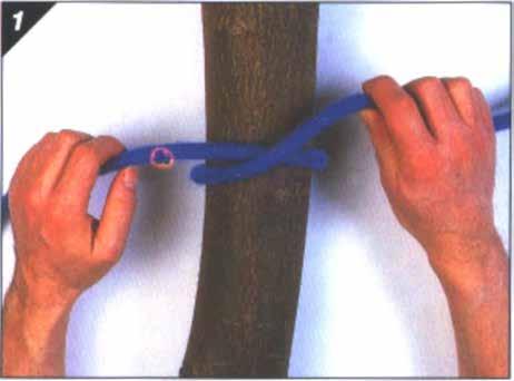 3. Pull tight to complete the figure-of-eight knot. Note. From Pocket Guide to Knots and Splices (p. 44), by D. Pawson, 2001, London, England: Prospero Books Inc. Copyright 2001 by PRC Publishing Ltd.