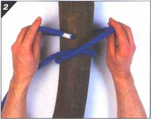 2. Bring the working end behind the pole / tree, above the first half hitch. Note. From Pocket Guide to Knots and Splices (p.