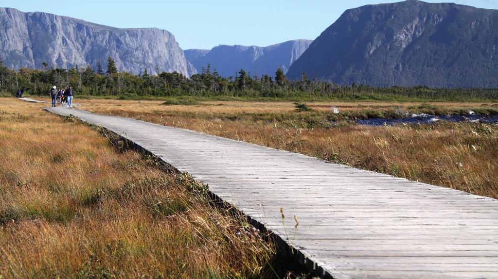 Information: (709) 458-2874 / 2550 May 17 to September 1 9:00 am 5:00 pm September 3 to 28 9:00 am 5:00 pm (Wednesday to Sunday) Closed September 2 KAYAKING Gros Morne National Park offers many