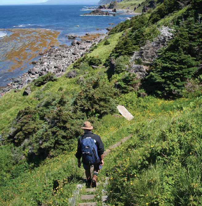 8 9 Take a Hike! There are more than 100 km of trails in Gros Morne, from halfhour strolls to strenuous multi-day hikes. But you needn t be limited your legs can carry you anywhere your eyes can see!