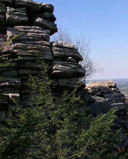 HOW MUNICIPALITIES CAN HELP PROTECT THE APPALACHIAN TRAIL: 1.