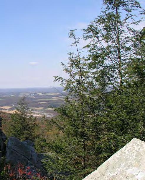 View from Bear Rocks in Schuylkill County Image Source: Photo Credit: Appalachian Trail Conservancy 4. Adopt conservation design strategy that optimizes open space and natural corridor protections. 5.