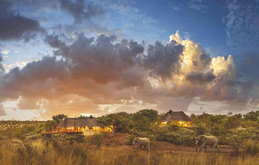 Giltedge Africa Change your life with an African vacation Sign up for a life-changing travel experience with award-winning Giltedge Africa, by choosing from our superlative array of luxury