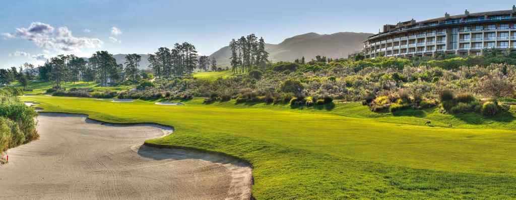 Giltedge Golf & Safari also have vast experience in tailor making programs for any non-golfers, with an array of sights and experiences to choose from in Southern Africa.