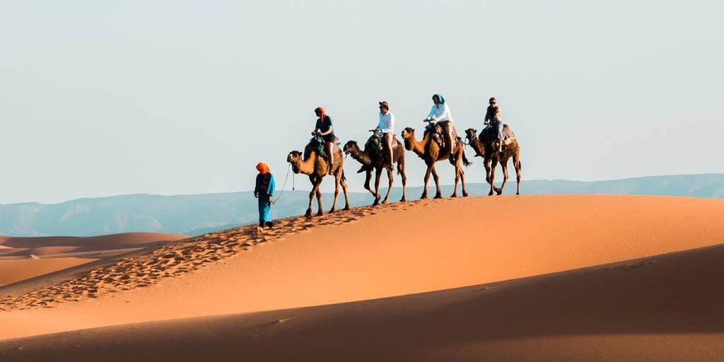 8 days Starts/Ends: Marrakech From colourful Marrakech, discover the the striking Ouazzarzate and Todra Gorges, camp in the Saharan desert and visit the epic ancient Ait Benhaddou on this 8 day tour