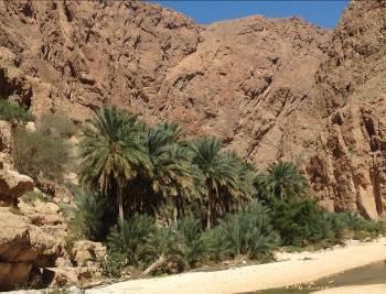 After some few more kilometres and a total of about 1,5 hrs driving time we will reach the entrance to Wadi Shab near Tiwi.