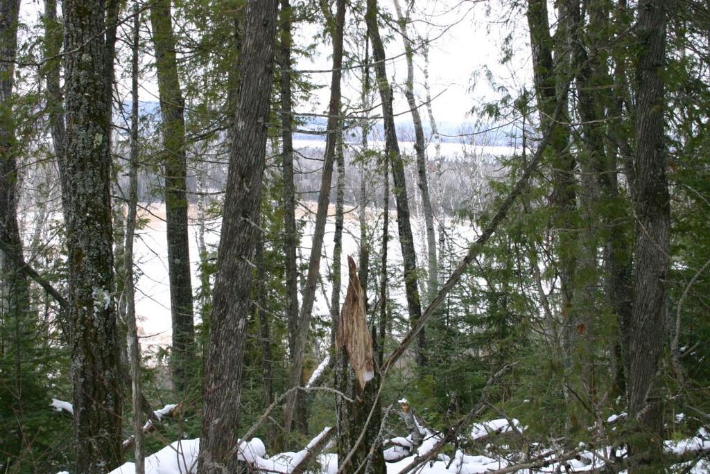 At the same time, Photo 3-2 illustrates a view from the ridge with an understory of conifers that may screen snowmobiles from the view of wilderness users.