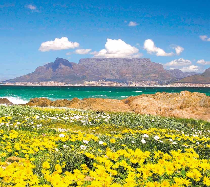 Table Mountain Enjoy the city sights of Cape Town on a guided city tour. Take the cable car to the top of Table Mountain.