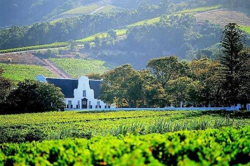 Day 13 (Option 1) Today you are taken to the wine producing region of South Africa and the town of Stellenbosch.