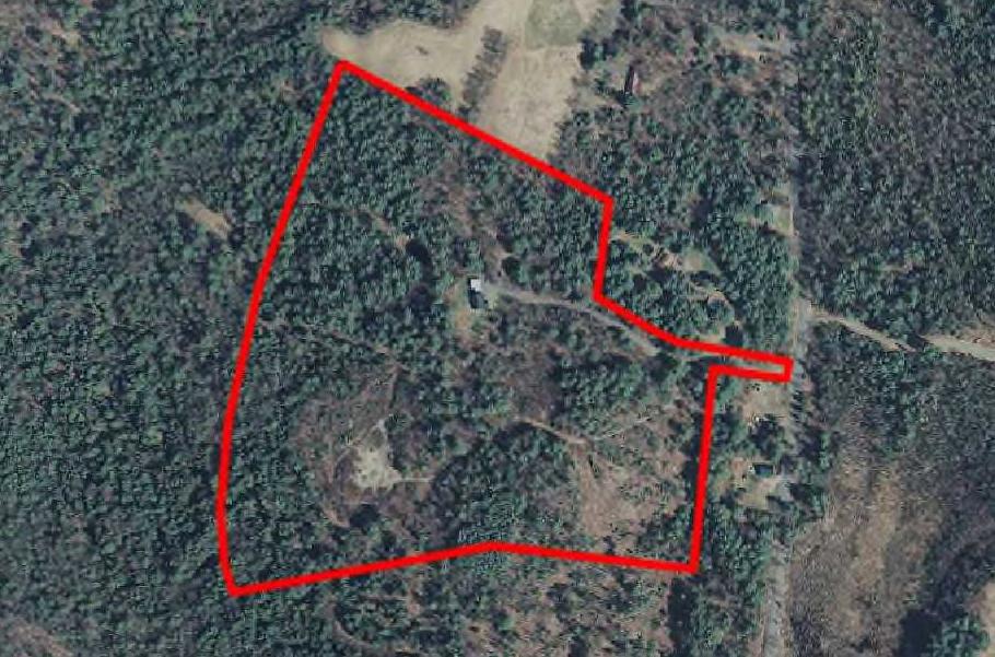 Pond Trails indicated in yellow, other smaller trails most likely exist.