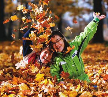 5. Collect fallen leaves and throw them in the air! One of the best parts of winter (except for the mud!) is the beautiful leaves that make their way onto the ground in Victoria Park.