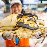 At Sydney Fish Market, we manage a unique seafood market that is the lifeblood for fishers and aquaculturists in more