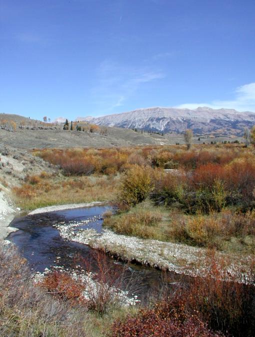 Jack Creek basin recreation continues. Some parts near roads and highways offer front-country recreation as well (Granite Creek is an example).