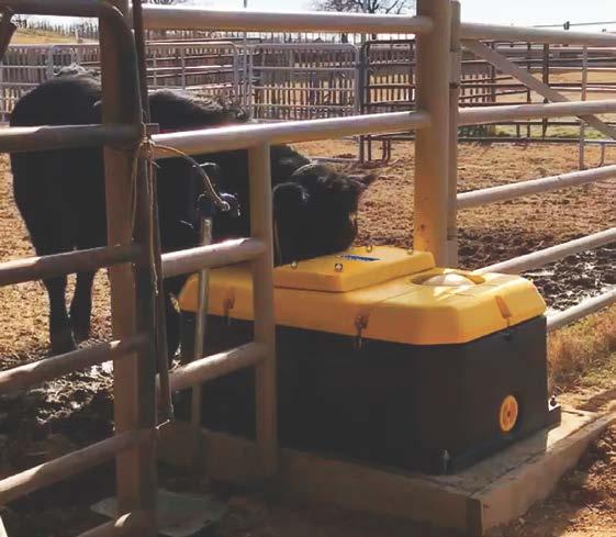 Recommendations Split fence measurements The WaterWell can also be used to split two pastures or pens with a fence line separating the drinking holes.