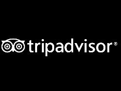 TripAdvisor s Share of Travel Bookers TripAdvisor reaches 23% of global travel visitors 75% of global hotel