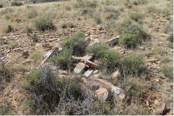 Figure 6.16 A Possible Burial Cairn at the Site Source: Tim Hart, 2013 The Site is situated in a palaeontologically sensitive and important area of the ancient Karoo Basin (Johnson, et al.