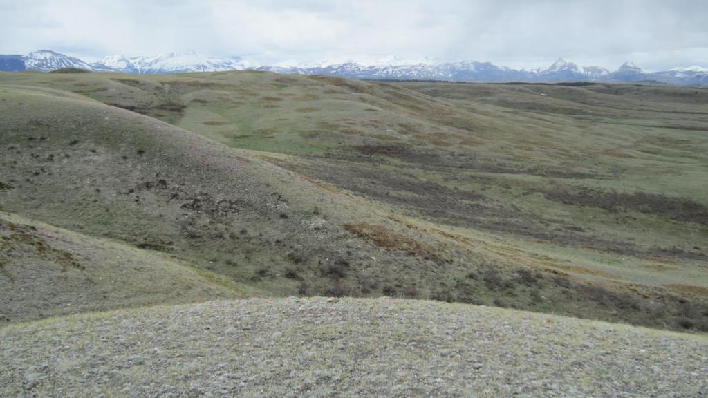 The topography of the subject property is level to lightly rolling terrain broken up by intermediate spring feed drainages. This property is in a 16-18 inch annual precipitation zone.