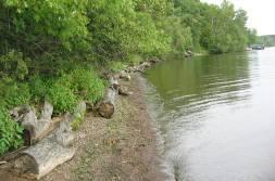 Comments: Some clearing of brush around trail and shoreline would define aclear pathway and improve