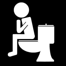 Toilet Never squat or stand on the toilet seat. Never flush anything down the toilet except for toilet paper. Do not use too much toilet paper as it may block the toilet and cause it to overflow.