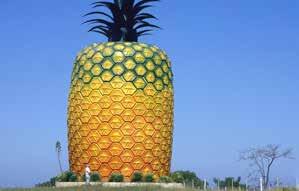 BIG PINEAPPLE BATHURST Here is another fun attraction for a family roadtrip.