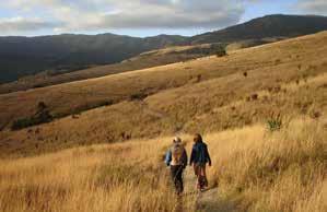 Do a bit of soul searching this holiday. Take a roadtrip to Hogsback and spend some time there discovering the true soul of the Eastern Cape.