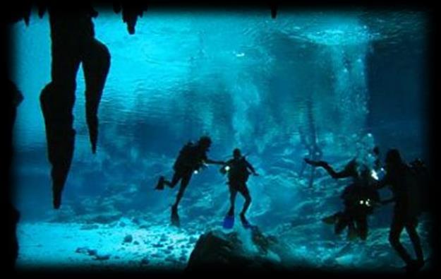 Diving in cenotes is thrilling, safe and recreational.