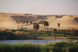NILE RIVER VALLEY (CONT.