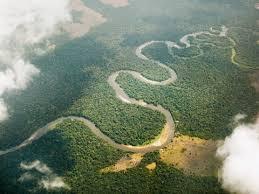 CONGO RIVER BASIN 2 nd in size, only behind the Amazon Basin Drains from the East African Rift to the Atlantic Ocean Includes all or parts of ten countries in