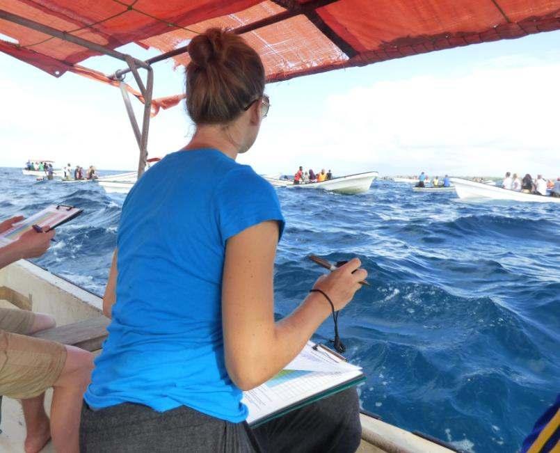 As part of our long-term research on the impact of tourism on the dolphin population, volunteers monitor dolphin numbers, behavior, feeding, reaction to