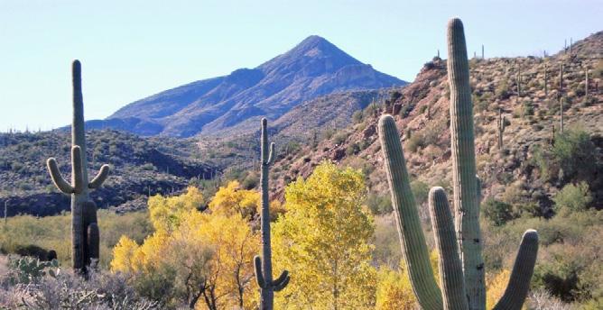 While Cave Creek offers many fine and fun restaurants, it is also known for its galleries and Western-style boutiques. Golf, trail rides, and access to many parks are also available.
