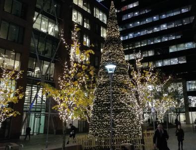 During Christmas 2017 this included the light and sound installation Star Cycle on Castle Street, Christmas trees in St Paul s Square with CBRE and in Exchange Flags with Shelborn Asset Management.