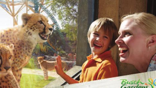 2015 National LICA Tuesday, February 10 Busch Gardens Tampa Come to Busch Gardens Tampa and experience the thrilling rides as well as one of America s