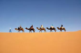 Day 5 June 16, 2014 Today is another chance to explore entire swathes of this spectacular country. First, you'll continue through the Draa Valley, also known as the 'Country of the Dates'.