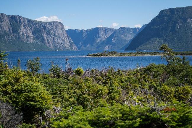 Day 4: Gros Morne National Park Trout River Today s walk takes us to the community of Trout River.