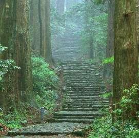 (For those not walking, we are able to have them spend time at the vistors centre and view the videos and presentations along with the Kumano Hongu Taisha.