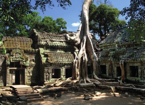At its peak Angkor is thought to have contained upwards of a million people, making it the largest city in the world at that time.