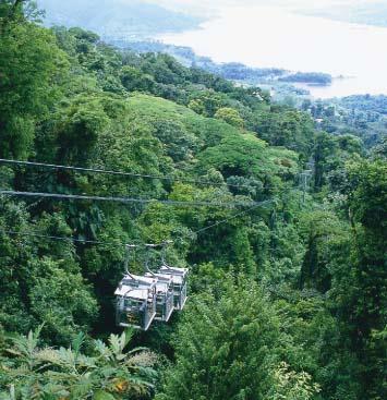 The Tram will lead you up to the Continental Divide and to one of the tallest mountains in Monteverde.