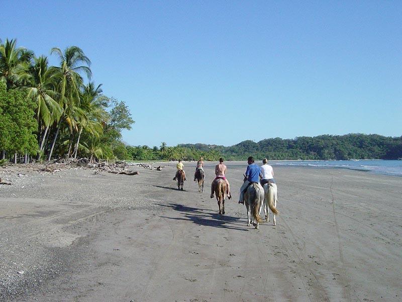 PUERTO CARRILLO Horseback Riding Tour Carrillo beach is one of most beautiful beaches of Costa Rica located just 7 km south of Samara Beach, which we will tour on horseback and enjoy a spectacular