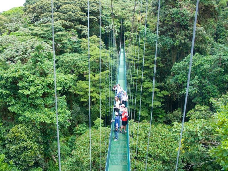 After crossing the lake by boat, you will go by van to a private reserve in Monteverde, where you ll have a guided tour of the majestic cloud forest.