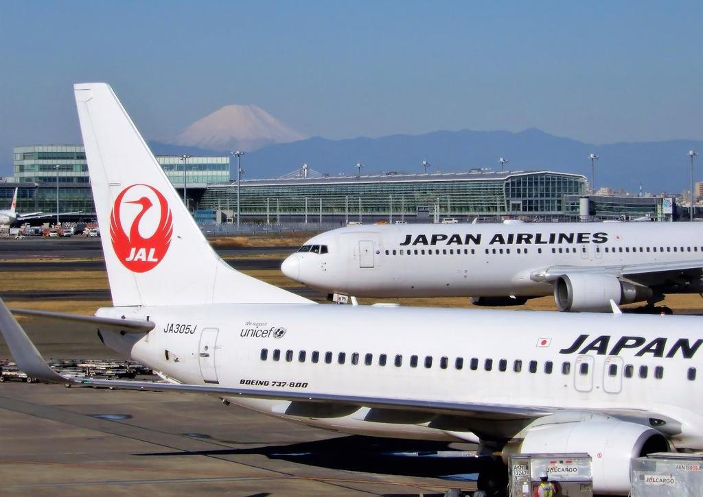January 31, 2019 JAPAN AIRLINES Co., Ltd.