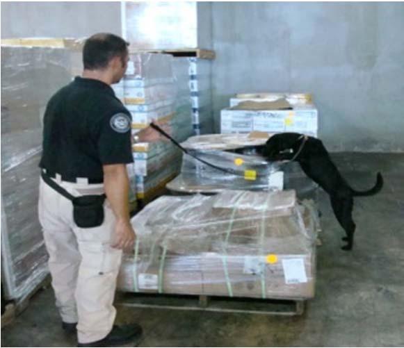 Risk Based Air Cargo Security Initiatives: K9SP National Explosives Detection Canine Security Program (K9SP) Recognition K9s considered the optimal explosive detection technology Newest