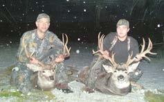 Two Nice Bucks in a Snowstorm WILDLIFE: The property has mule deer, whitetail deer,
