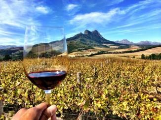 to visit the wineries in Stellenbosch and Somerset West.