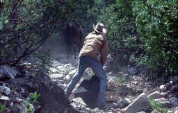 Chapter 3 - Against the Rules - 00 14 53 DVD capture DVD Time Code = 00 14 53 Location: Hwy 40, King Creek GPS: 50d 43m 4s -115d 6m 17s Map / Satellite Image: Google Link Site Name: Runaway Mules
