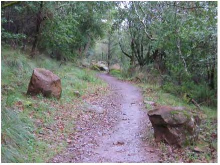 It is ideal if the boulders or logs used for horizontal control features match other natural rock outcroppings and materials in the area.