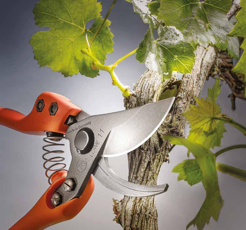 pruning shears 2019 for professional use in