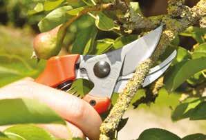 BYPASS OR ANVIL PRUNING SHEAR, A MATTER OF OPINION? OR DOES EACH PRINCIPLE HAVE A SPECIAL PURPOSE? There is no general answer possible for the question of choice about anvil or bypass pruning shears.