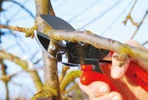 The most important criteria in both technologies is the usage of high quality pruning shears, which remain still sharp after many cuts and still guarantee high precision.