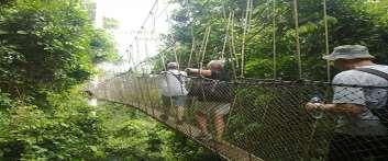 DAY 9: CANOPY WALKWAY/CASTLE TOUR Visit the Kakum National Park. Take a morning walk on the Kuntan Trail with its countless trees of medicinal properties.