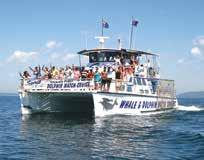 Buy s get 1 free Whale Watching Cruise